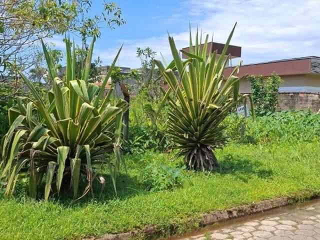 Terreno venda em Região Imediata de Santos, Região Metropolitana da Baixada Santista