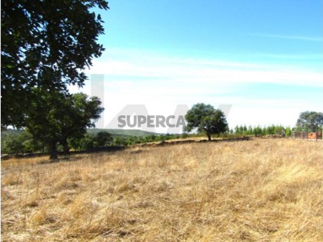 Terreno venda em Chão da Velha, Nisa