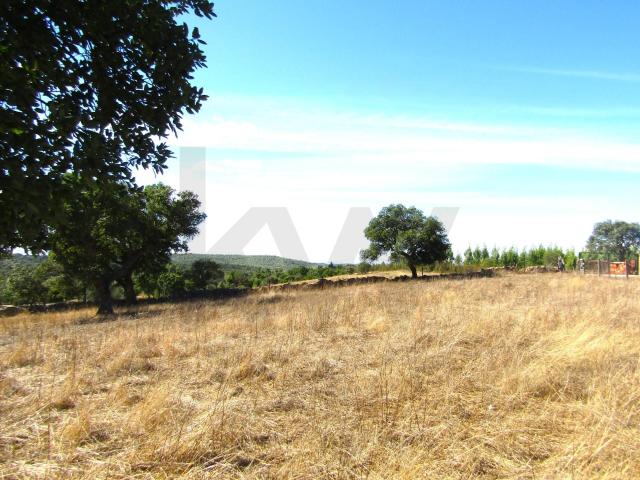 Terreno venda em Monte Claro, Nisa