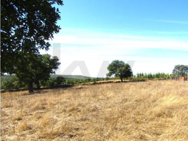 Terreno venda em Chão da Velha, Nisa