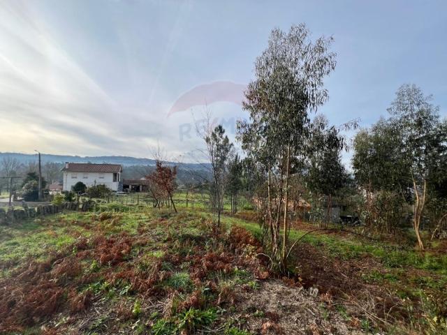 Terreno venda em Arcos De Valdevez, Viana Do Castelo