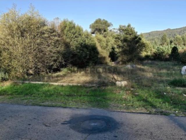 Terreno venda em Valença, Viana Do Castelo