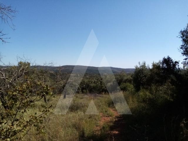 Terreno venda em Loulé, Faro