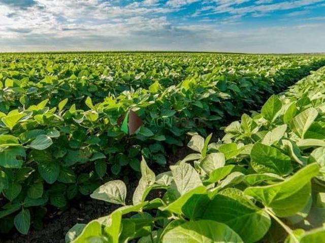 Terreno venda em Região Geográfica Imediata de Pontes e Lacerda - Comodoro, Pontes e Lacerda