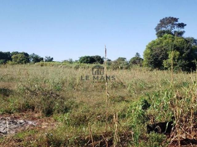 Terreno venda em Saltinho