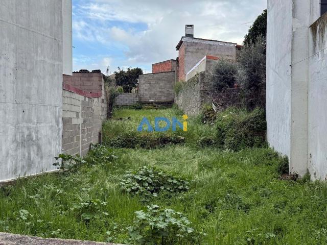 Terreno venda em Alcains, Castelo Branco