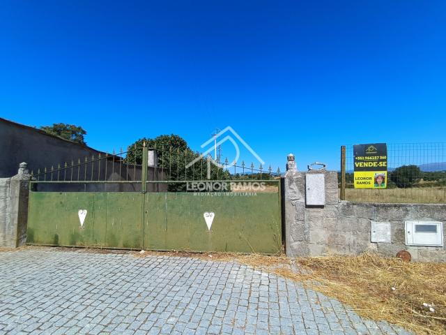 Terreno venda em Castelo Branco