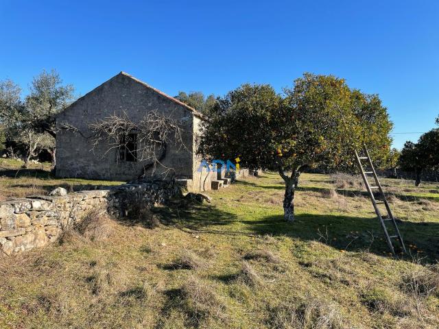 Quinta venda em Castelo Branco