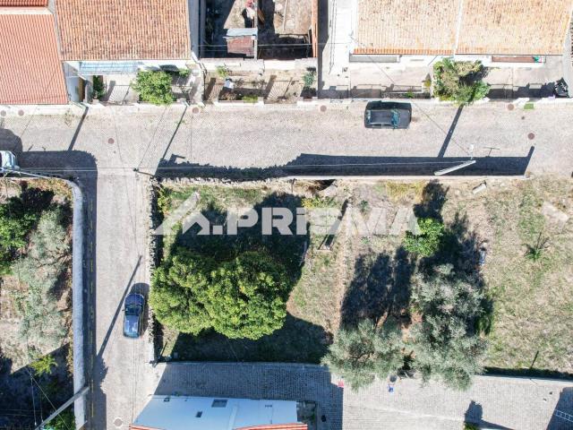 Terreno venda em Castelo Branco