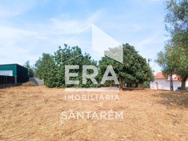Terreno venda em Santarém