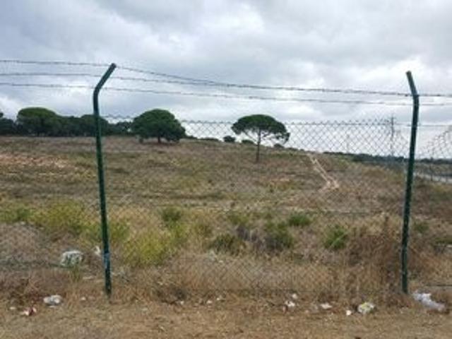 Terreno venda em Alcabideche