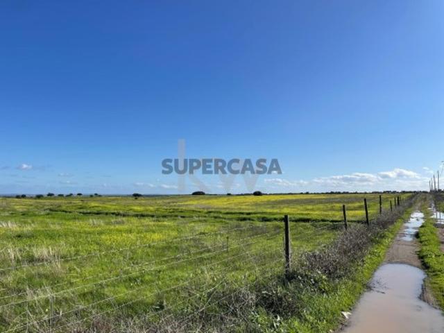 Terreno venda em Reguengos De Monsaraz, Évora