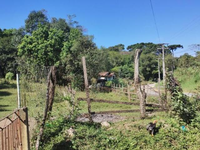 Terreno venda em Região Geográfica Imediata de Curitiba, Região Metropolitana de Curitiba