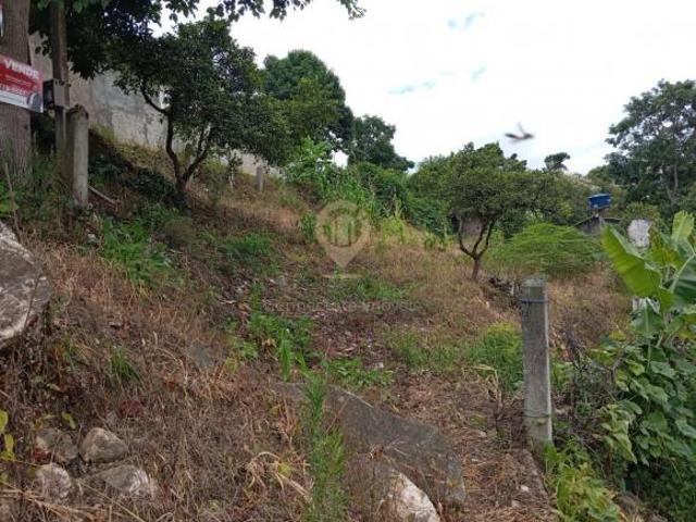 Terreno venda em Região Geográfica Imediata de Curitiba, Região Metropolitana de Curitiba