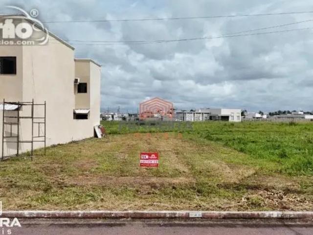 Terreno venda em Região Geográfica Imediata de Sinop, Sinop