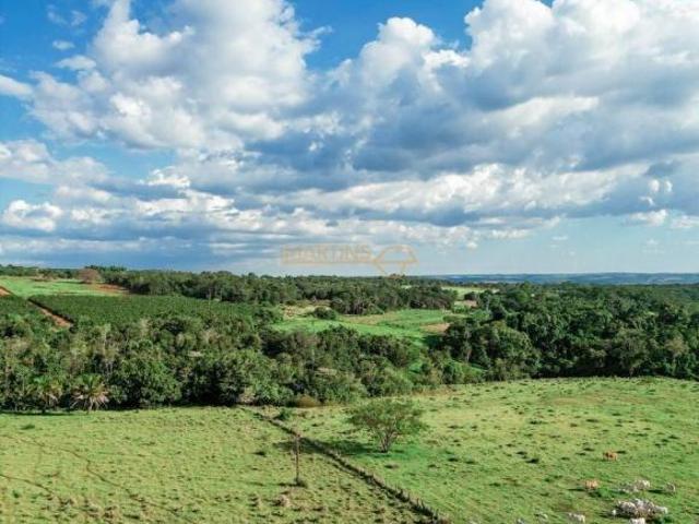 Terreno venda em Centro, Araguari