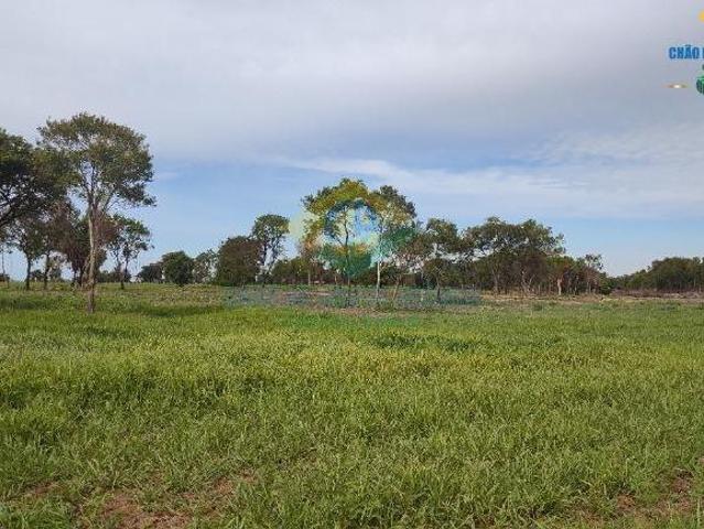 Sítio e chácara venda em Região Geográfica Imediata de Campo Grande, Campo Grande