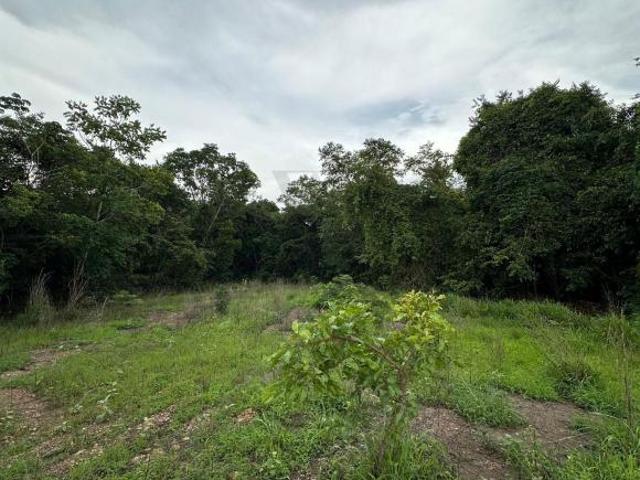 Terreno venda em Goianésia, Região Geográfica Intermediária de Porangatu-Uruaçu