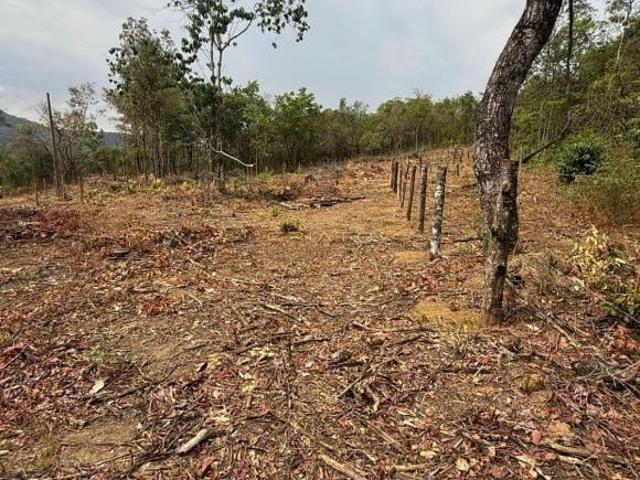 Terreno venda em Região Geográfica Imediata de Anápolis, Região Integrada de Desenvolvimento do Distrito Federal e Entorno
