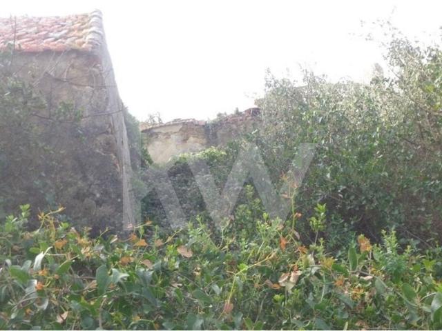 Terreno venda em Arruda Dos Vinhos