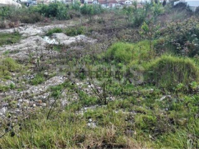 Terreno venda em Aveiro