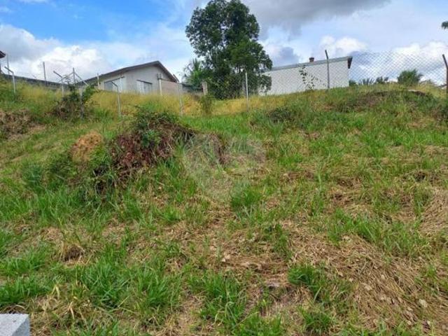 Terreno venda em Região Geográfica Imediata de Maringá, Sarandi
