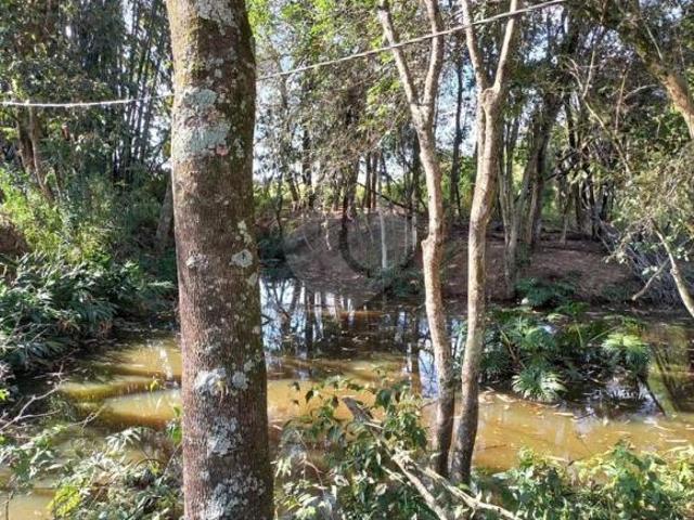 Terreno venda em Região Geográfica Imediata de Maringá, Sarandi