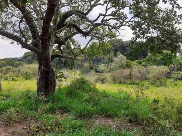 Terreno venda em Região Geográfica Imediata de Maringá, Sarandi