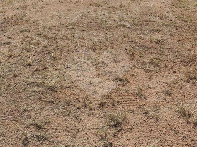 Terreno venda em Região Geográfica Imediata de Maringá, Sarandi