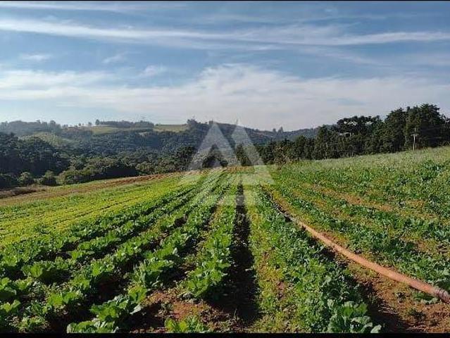 Terreno venda em Região Imediata de Sorocaba, Região Metropolitana de Sorocaba