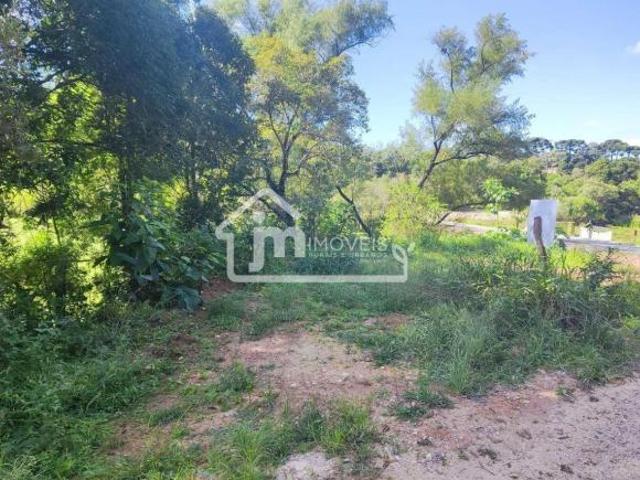 Terreno venda em Região Geográfica Imediata de Curitiba, Região Metropolitana de Curitiba