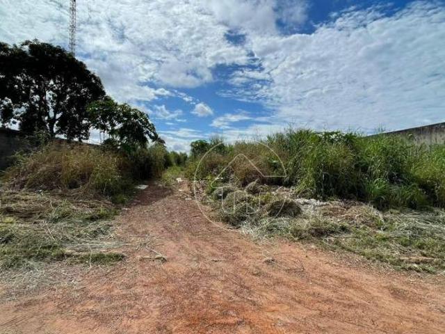 Terreno venda em Região Geográfica Imediata de Barra do Garças, Barra do Garças