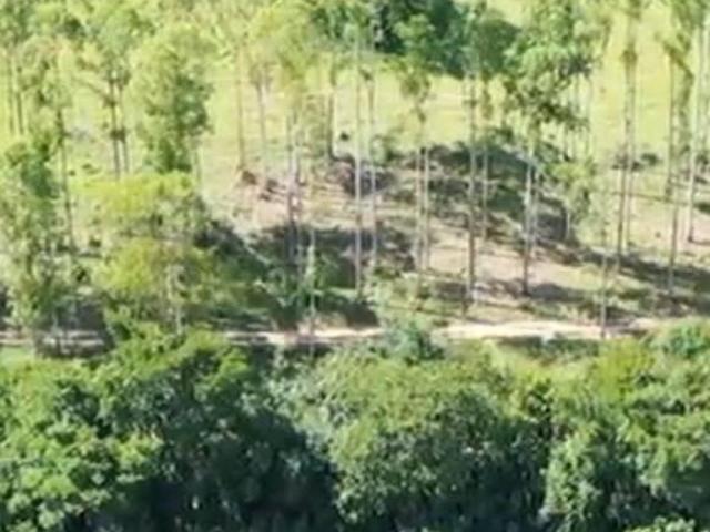 Terreno venda em Regional Centro-Sul, Belo Horizonte