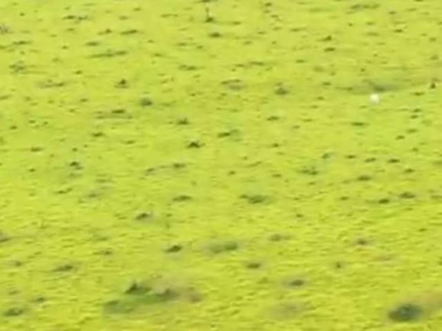 Terreno venda em Região Geográfica Imediata de Belo Horizonte, Região Metropolitana de Belo Horizonte