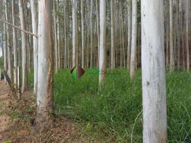 Terreno venda em Santo André, Belo Horizonte