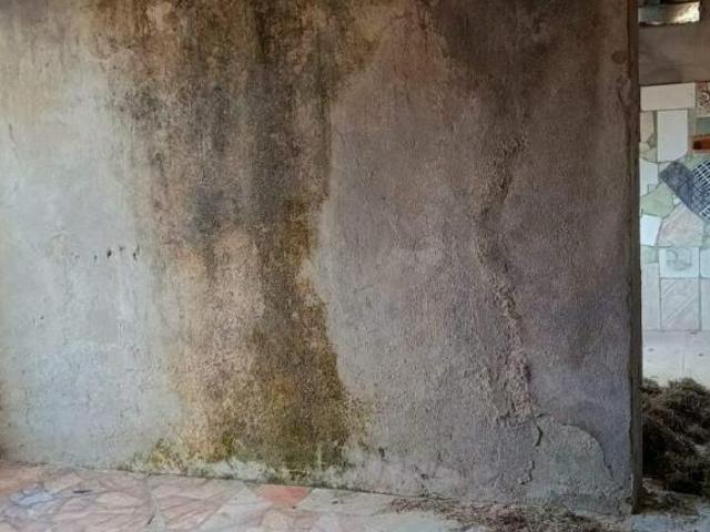 Terreno venda em Chuvinha, Santana de Pirapama