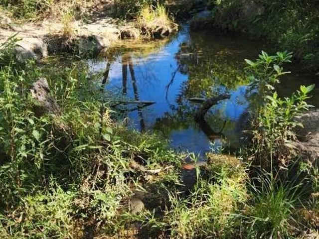 Terreno venda em Santo Antônio da Vargem Alegre, Bonfim