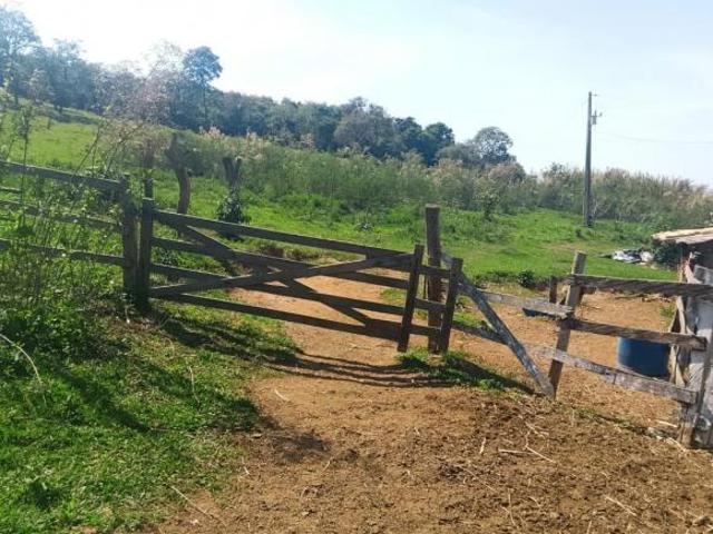 Terreno venda em Santo Antônio da Vargem Alegre, Bonfim