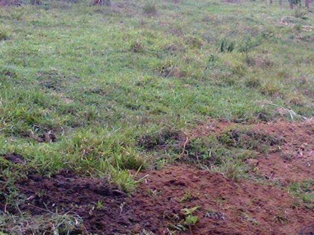 Terreno venda em Botelhos, Região Geográfica Intermediária de Pouso Alegre