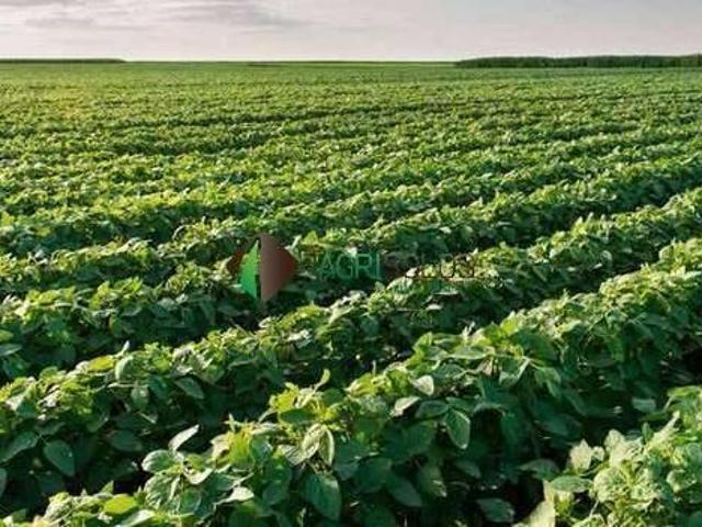 Terreno venda em Região Geográfica Imediata de Tangará da Serra, Brasnorte