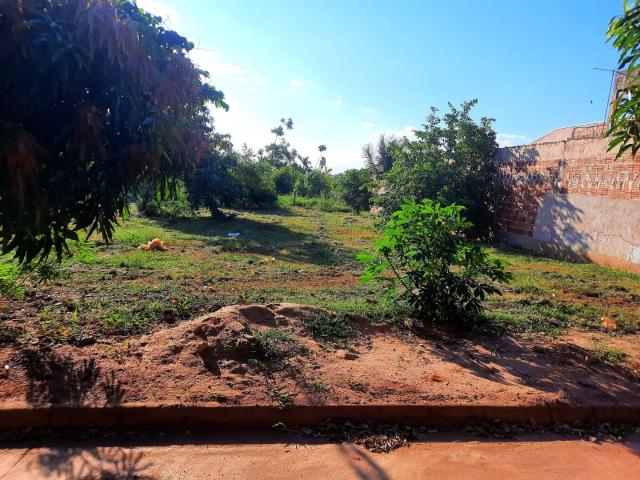 Terreno venda em Região Imediata de Birigui-Penápolis, Buritama