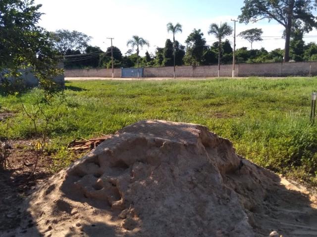 Terreno venda em Região Imediata de Birigui-Penápolis, Buritama