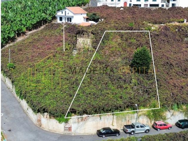Terreno venda em Estreito de Câmara de Lobos, Câmara de Lobos