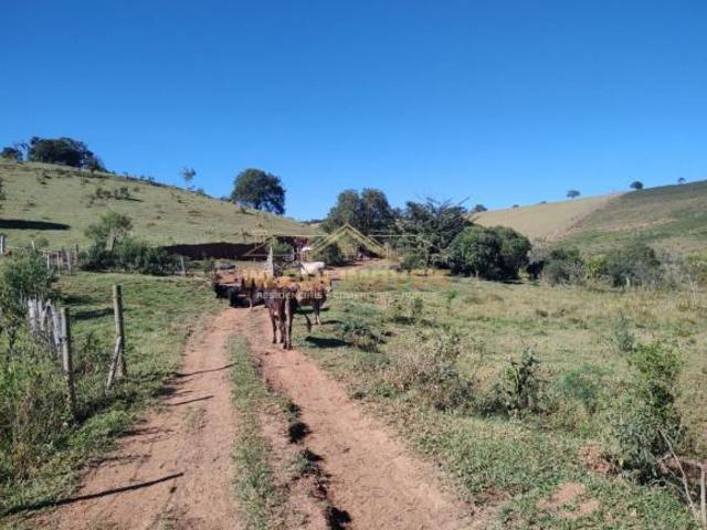 Terreno venda em Região Geográfica Imediata de Pouso Alegre, Cambuí