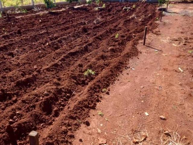 Terreno venda em Região Geográfica Imediata de Cascavel, Cascavel