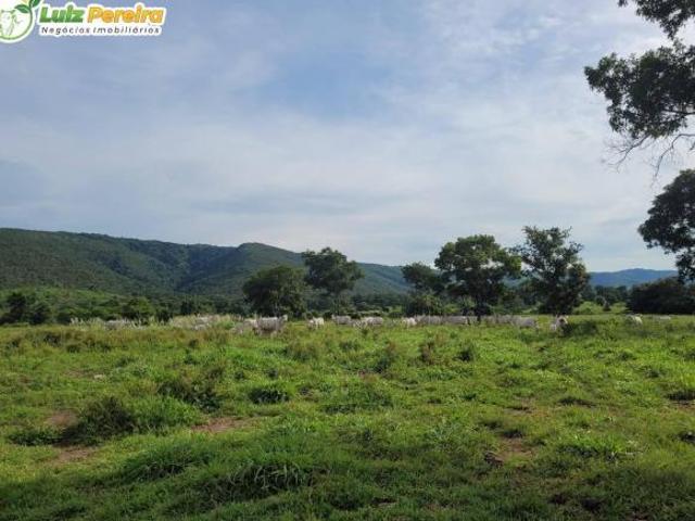 Terreno venda em Região Geográfica Imediata de Cuiabá, Região Metropolitana do Vale do Rio Cuiabá