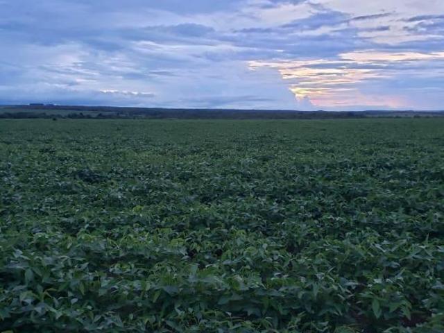 Terreno venda em Região Geográfica Imediata de Cuiabá, Rosário Oeste