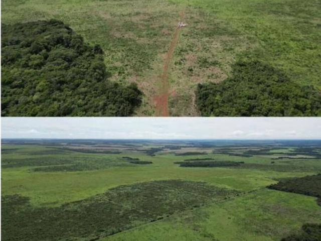 Terreno venda em Água Boa, Região Geográfica Intermediária de Barra do Garças