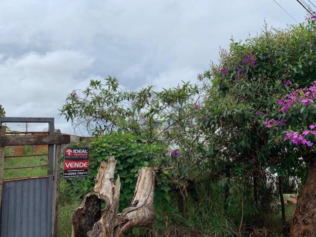 Terreno venda em Jardim Tropical, Alfenas