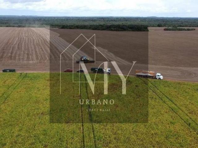Terreno venda em Região Geográfica Imediata de Cuiabá, Região Metropolitana do Vale do Rio Cuiabá